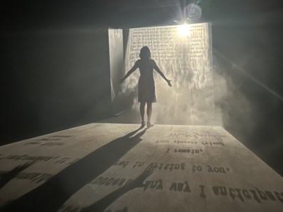 🎨芸術の祭典 Kochi-Muziris Biennale